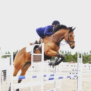 Meet your Posher, Sam